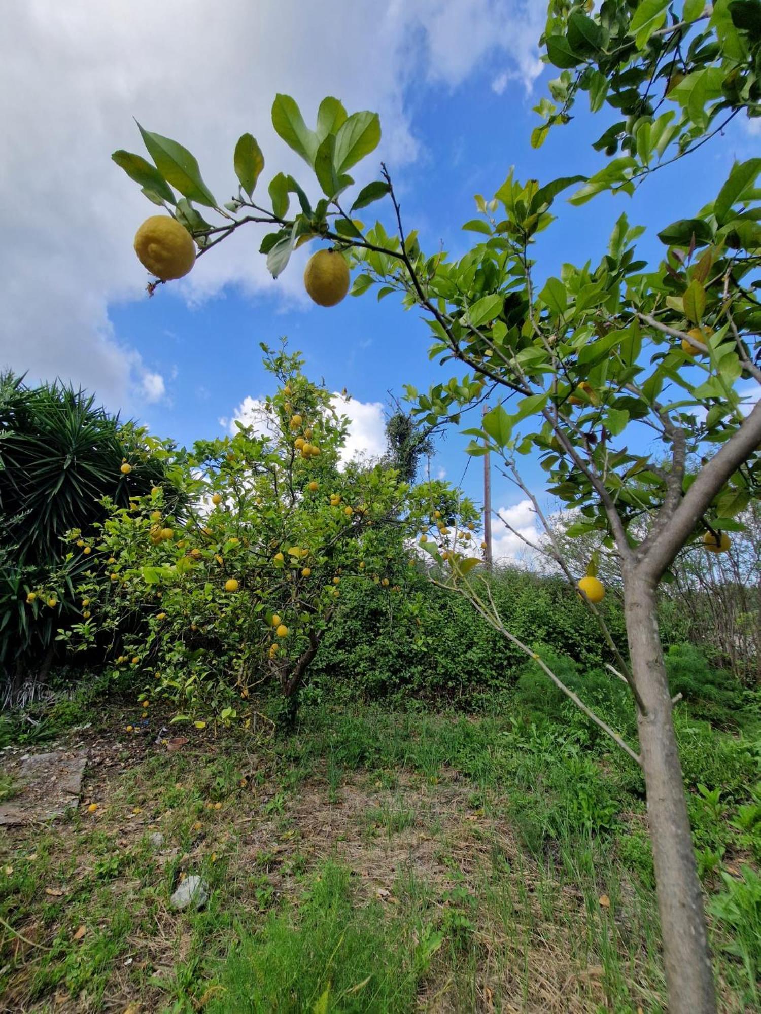 Stefanos Garden Arménoi Exterior foto