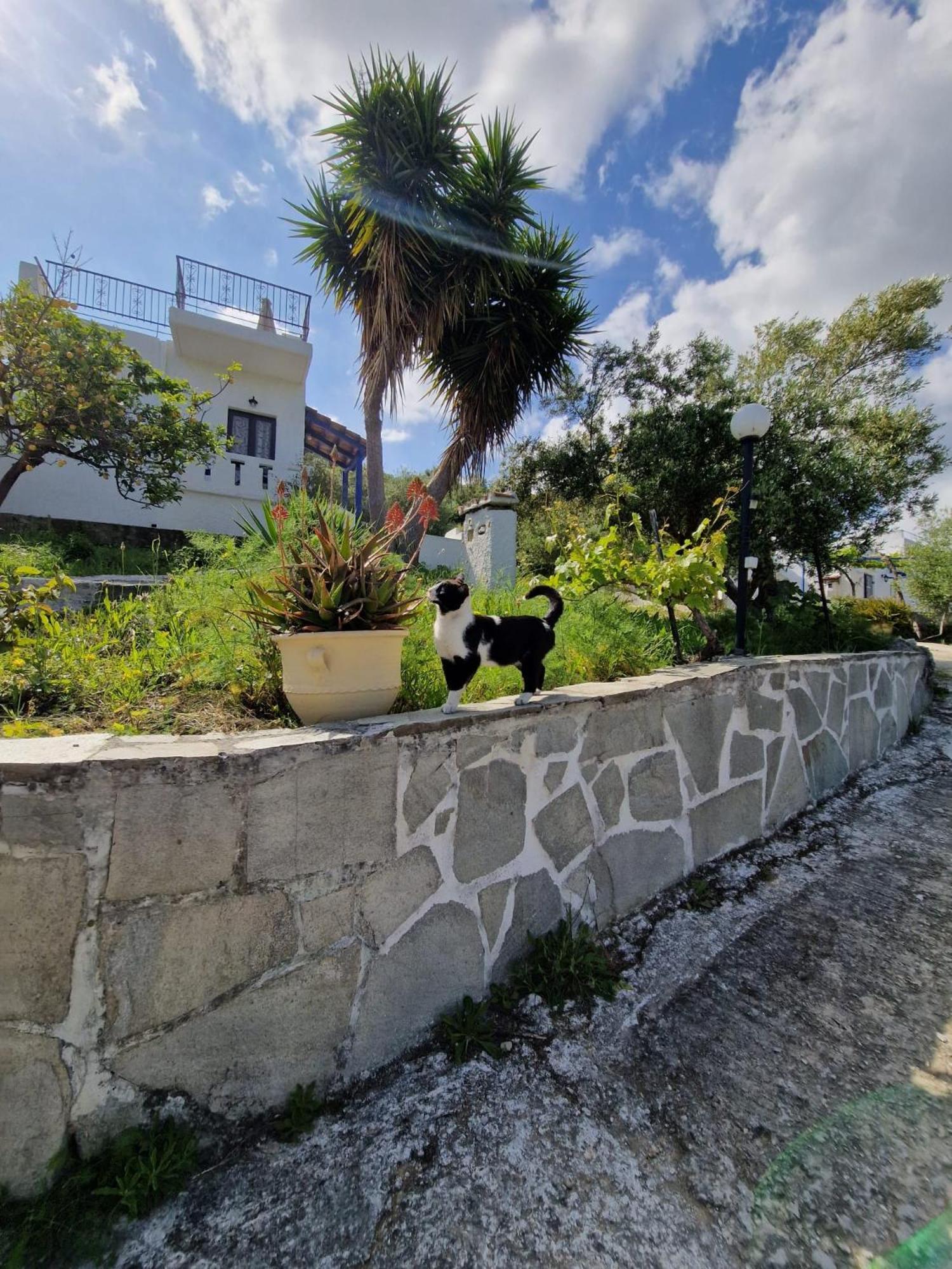 Stefanos Garden Arménoi Exterior foto