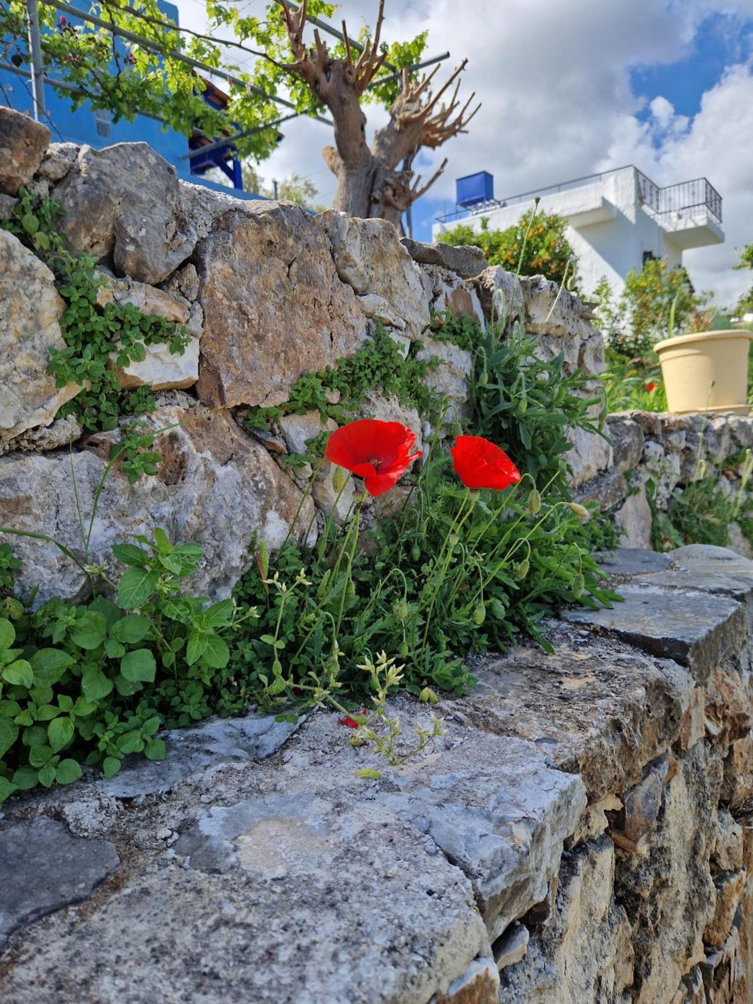 Stefanos Garden Arménoi Exterior foto
