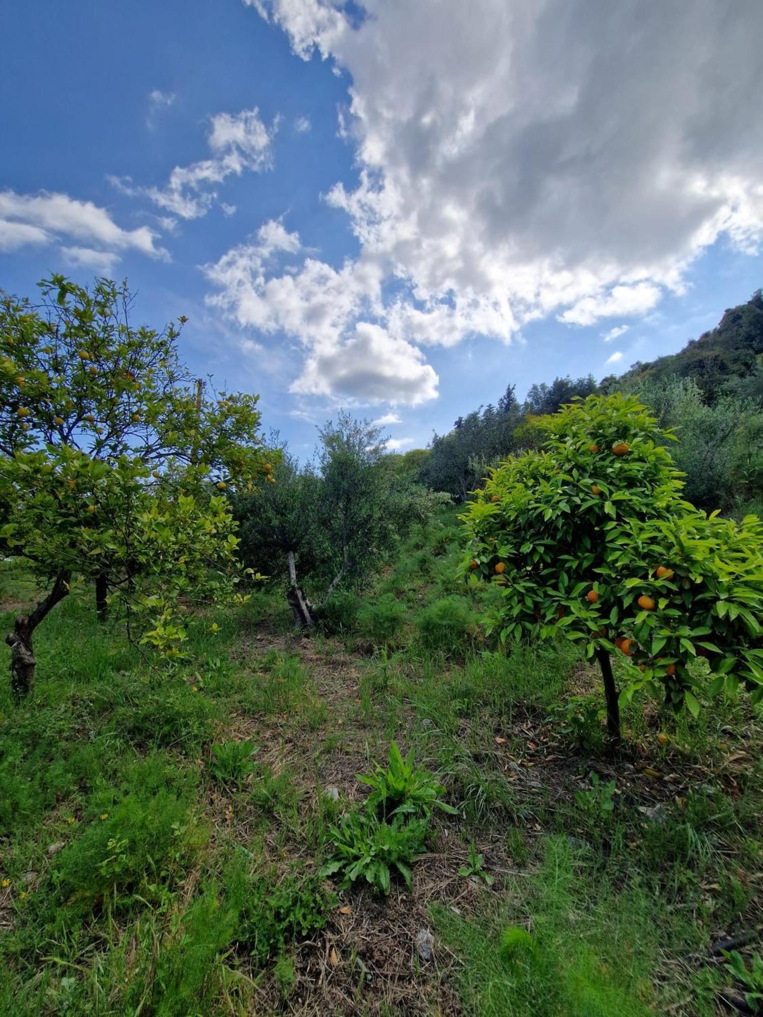 Stefanos Garden Arménoi Exterior foto