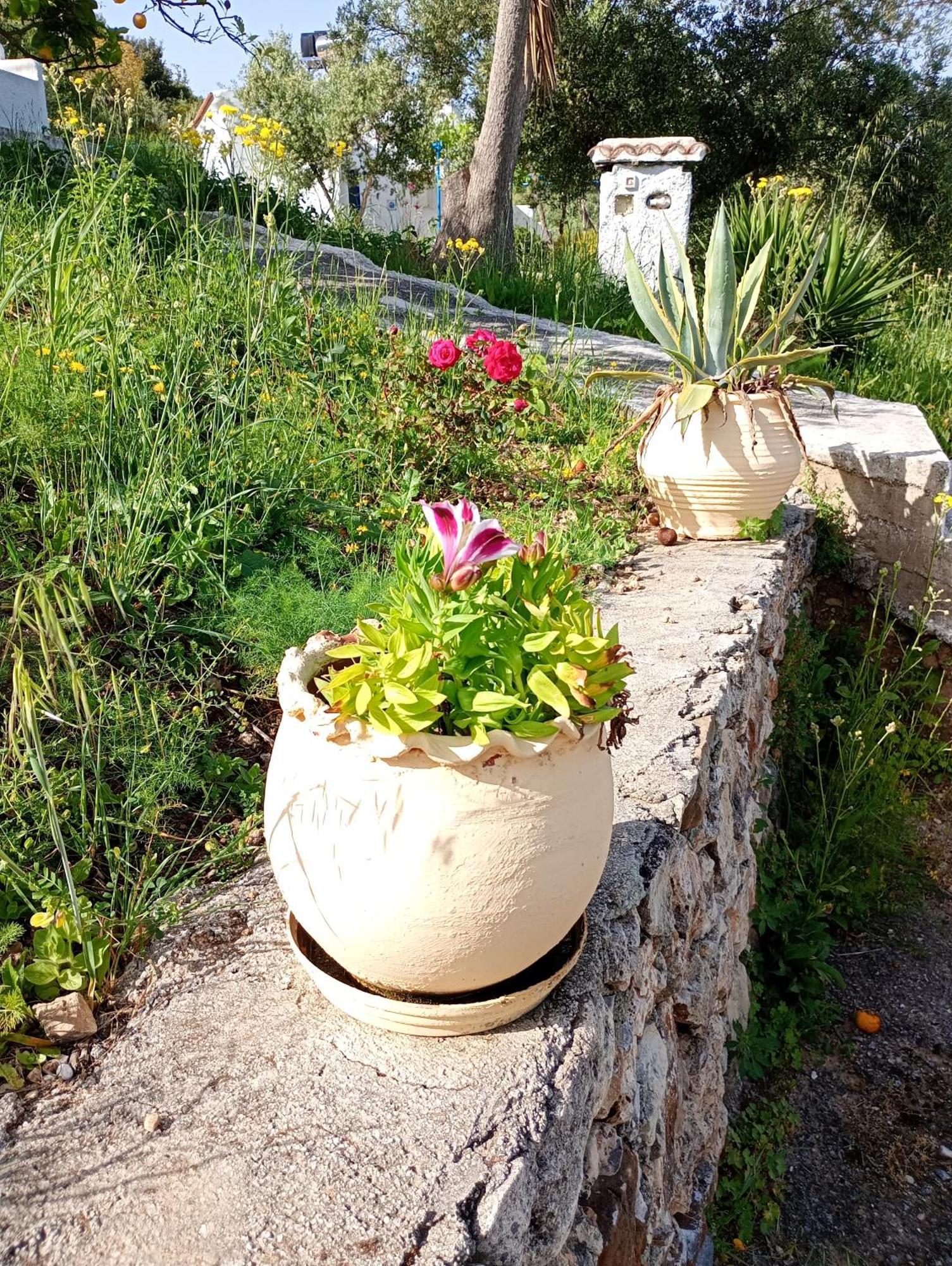 Stefanos Garden Arménoi Quarto foto